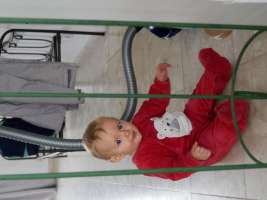 louis